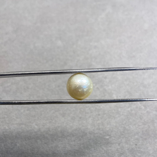 South Sea pearl (Moti), 7.83 carat
