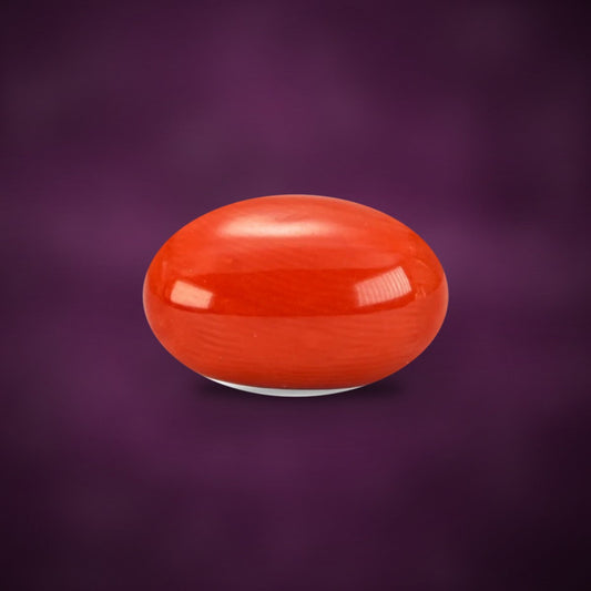 Italian red coral (Moonga)