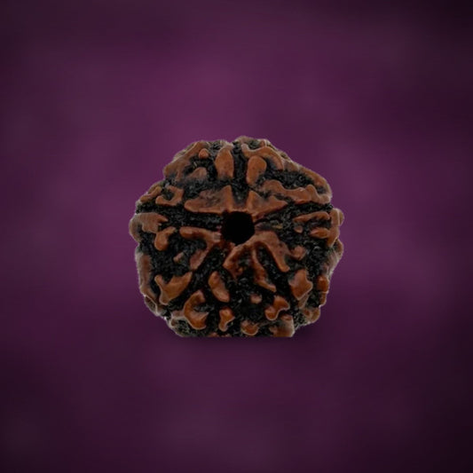 Rudraksha bead