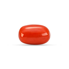 5.86 Carat Natural Coral (Moonga) Gemstone - 23/08-138