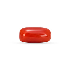 5.30 Carat Natural Coral (Moonga) Gemstone - 23/08-146