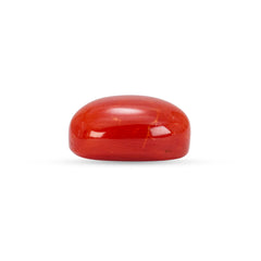 6.05 Carat Natural Coral (Moonga) Gemstone - 23/08-150