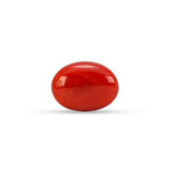 4.95 Carat Natural Coral (Moonga) Gemstone - 30/08-154