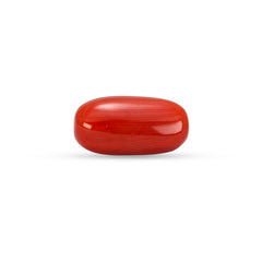 5.79 Carat Natural Coral (Moonga) Gemstone - 30/08-158