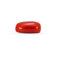 5.52 Carat Natural Coral (Moonga) Gemstone - 30/08-164
