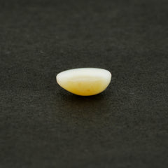 2.83 Carat Natural Opal - 02/09-206