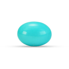 9.04 Carat American Natural Firoza (Turquoise) - 02/09-218