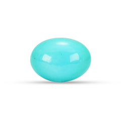 9.81 Carat American Natural Firoza (Turquoise) - 02/09-220