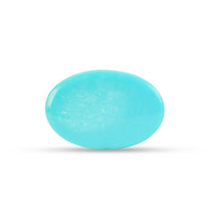 18.87 Carat American Natural Firoza (Turquoise) - 02/09-224