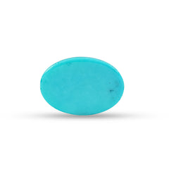 10.44 Carat American Natural Firoza (Turquoise) - 02/09-226