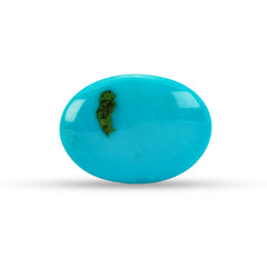 16.93 Carat American Natural Firoza (Turquoise) - 02/09-227