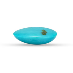 16.93 Carat American Natural Firoza (Turquoise) - 02/09-227