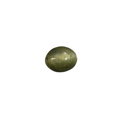 5541