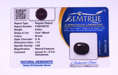 9.63 Carats Natural Gomed (Hessonite) Stone