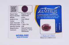 8.02 Carat Natural Ruby (Manik) - CN 40383